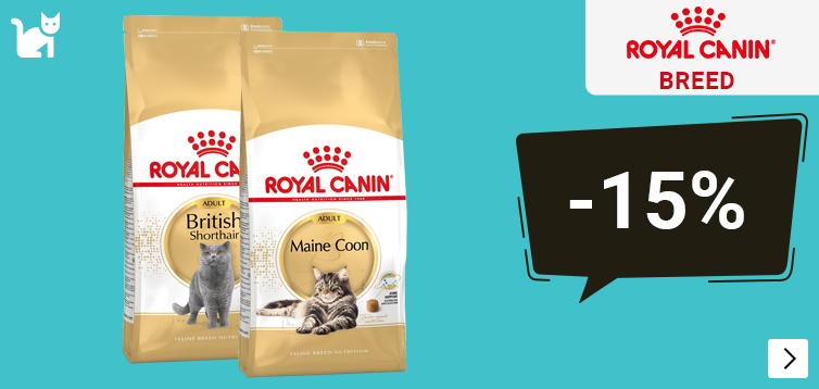 Royal Canin Breed grootverpakkingen kat 15% korting CAT